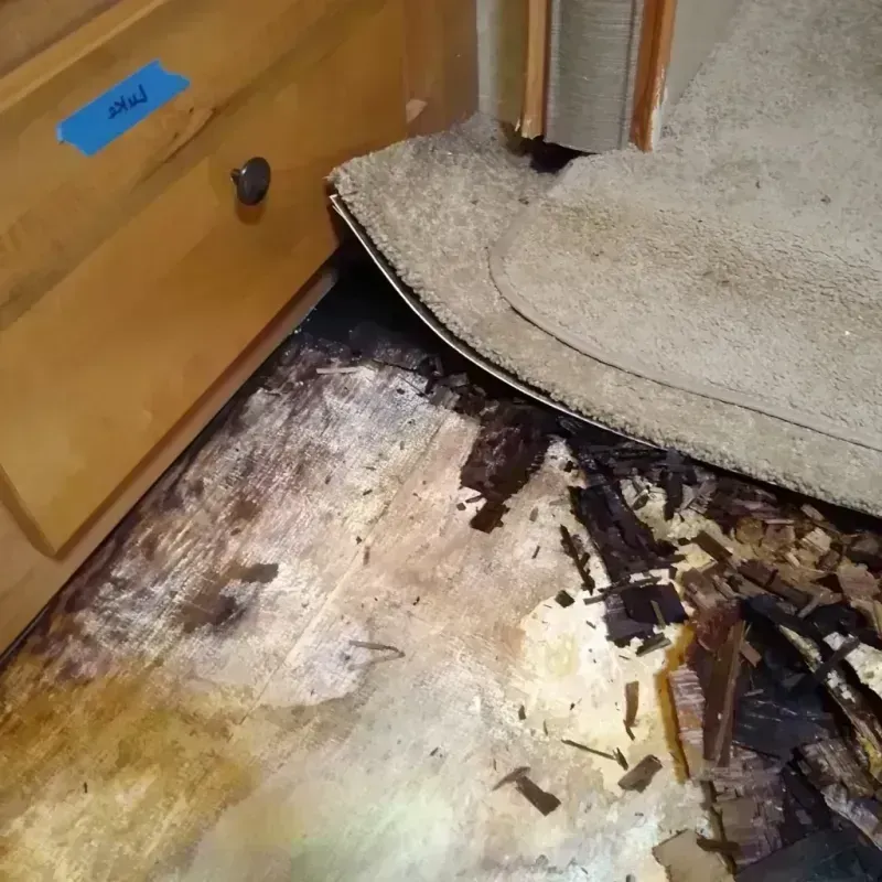 Wood Floor Water Damage in Wilmington, DE